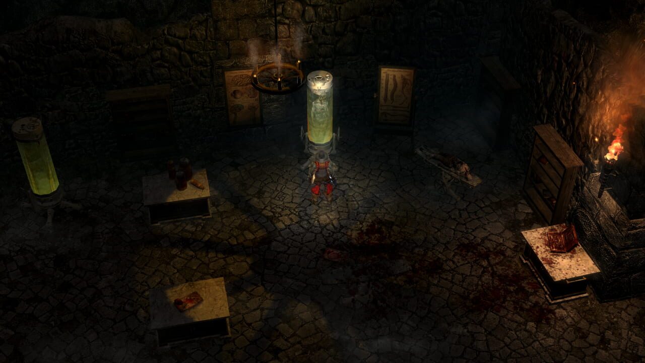 Grim Dawn gameplay