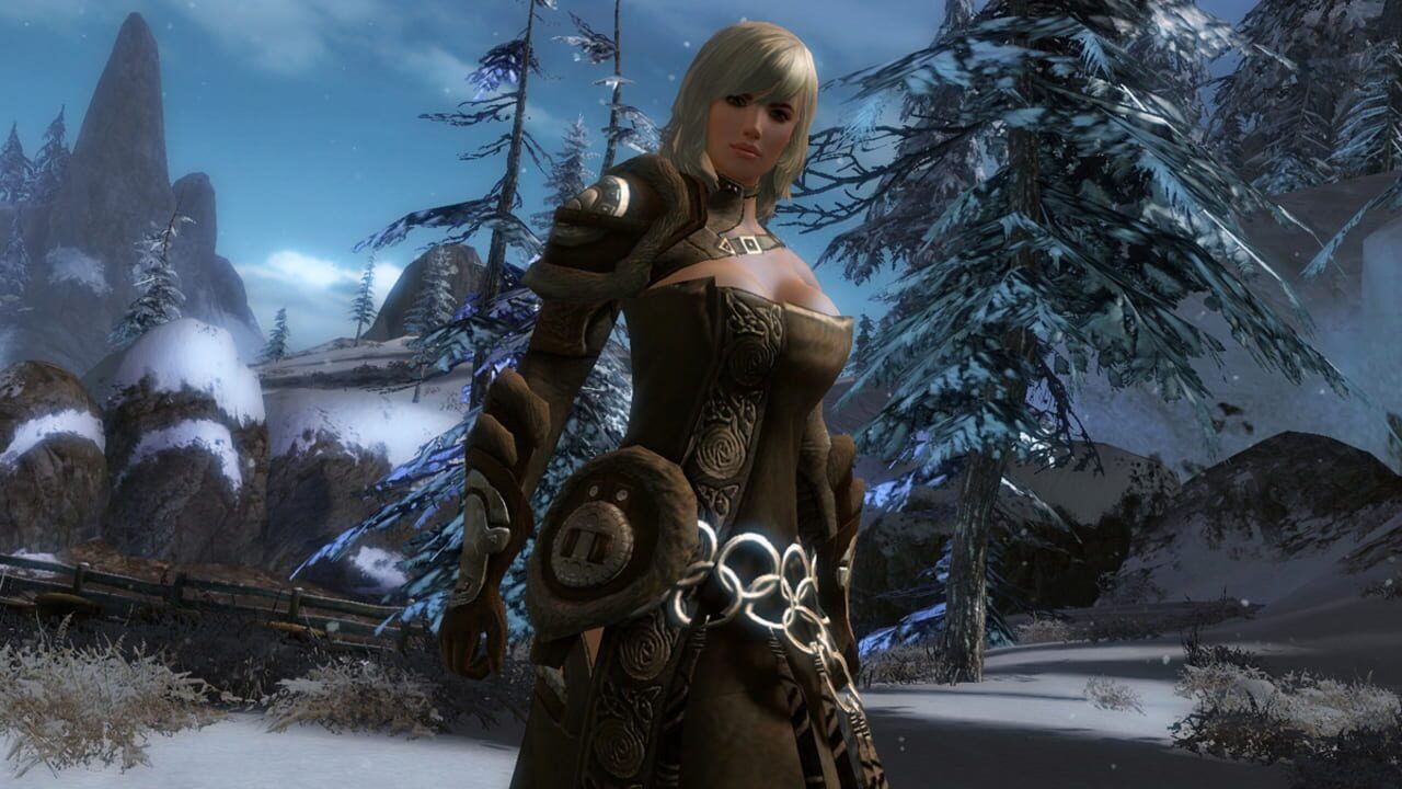 Guild Wars 2 gameplay
