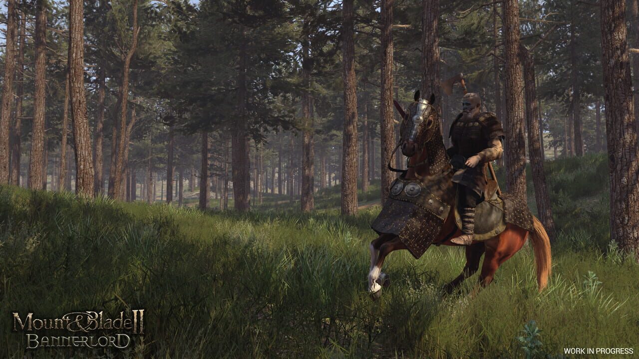 Mount & Blade II: Bannerlord gameplay